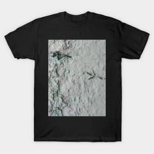 Bird Print T-Shirt